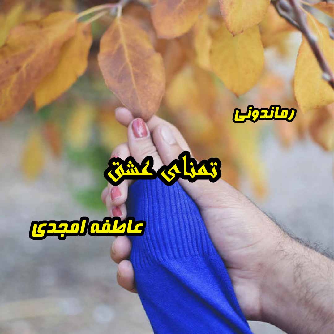 دانلود رمان تمنای عشق از عاطفه امجدی رمان رایگان