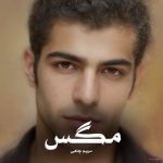 رمان مگس